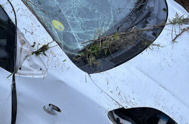 Perda ou Ganho Total?